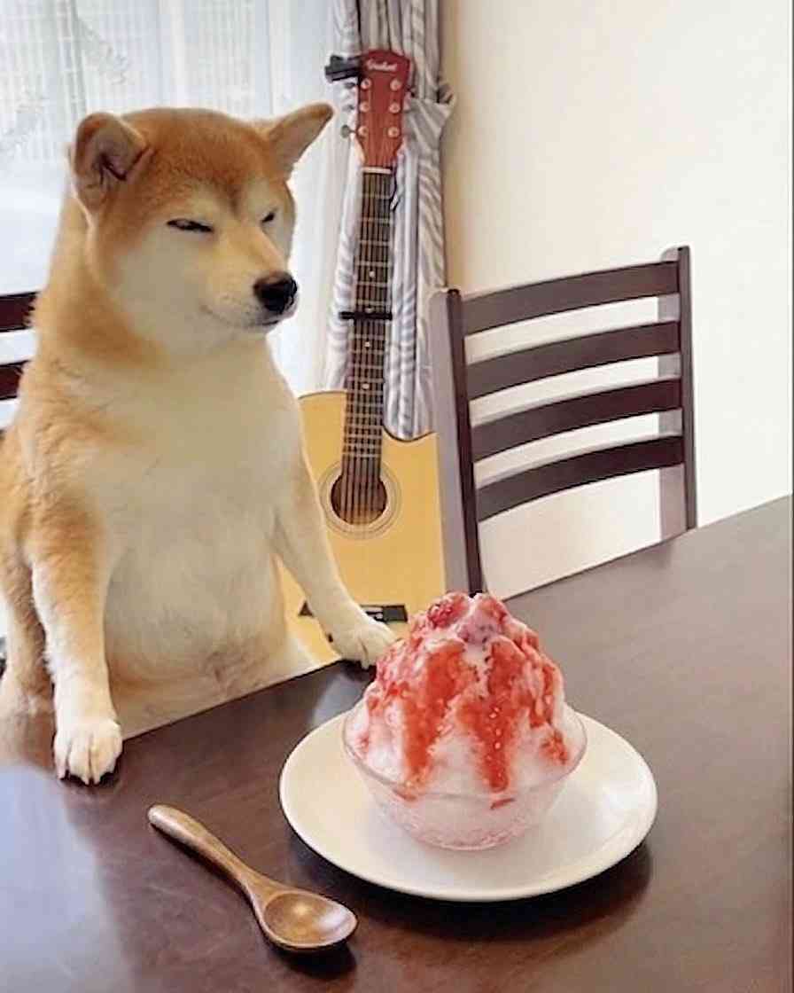 シャーベット・かき氷など好きな人
