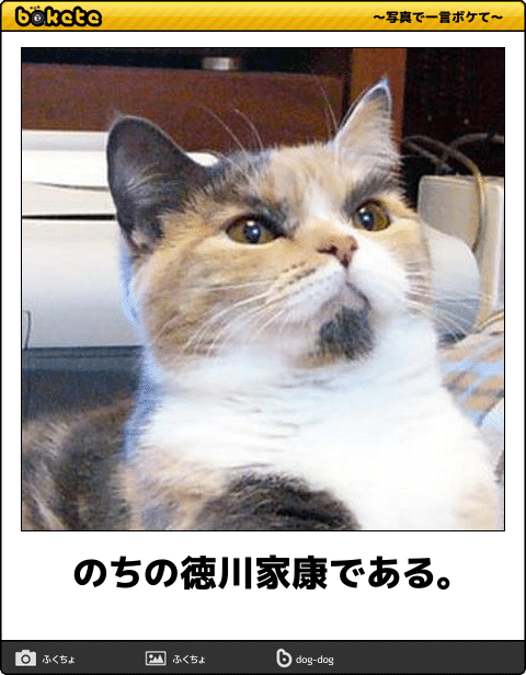 眉毛の悩み