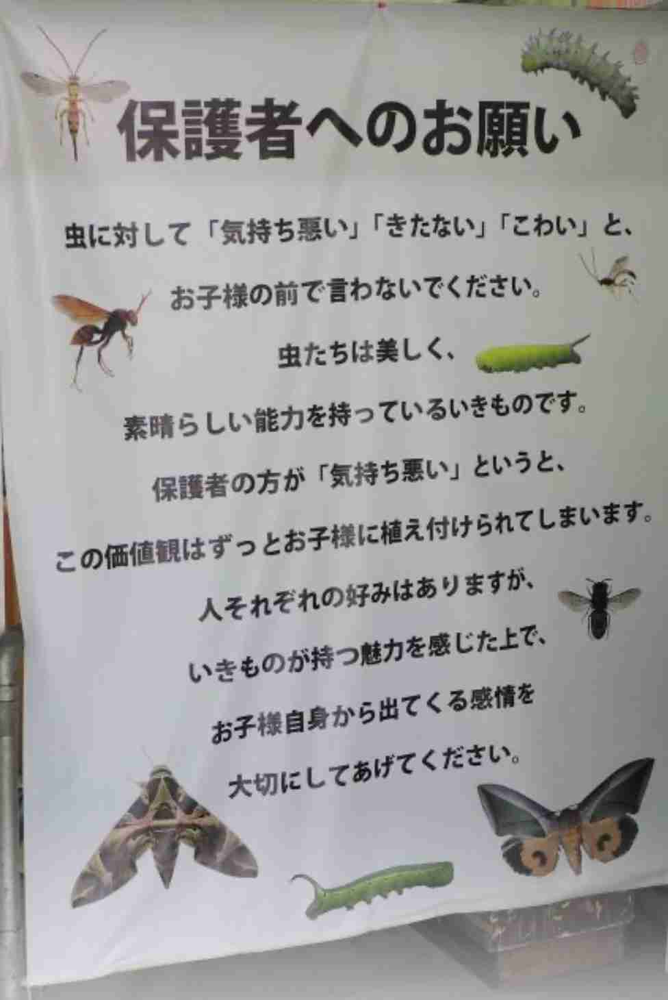 動物園で「気持ち悪！」と言う人【爬虫類など】