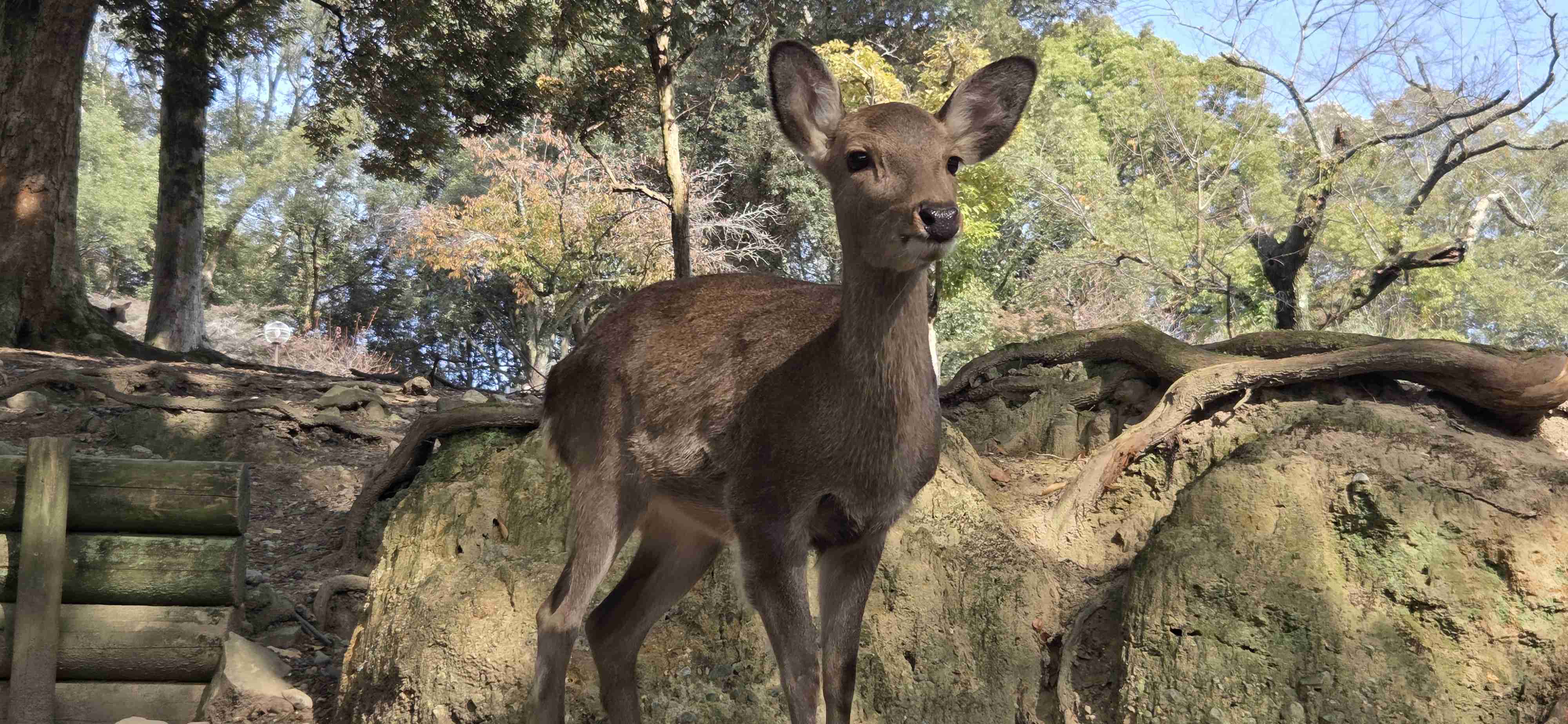 自分の県のおすすめ