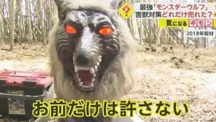 職場で強制的にわらび取り行かされる。