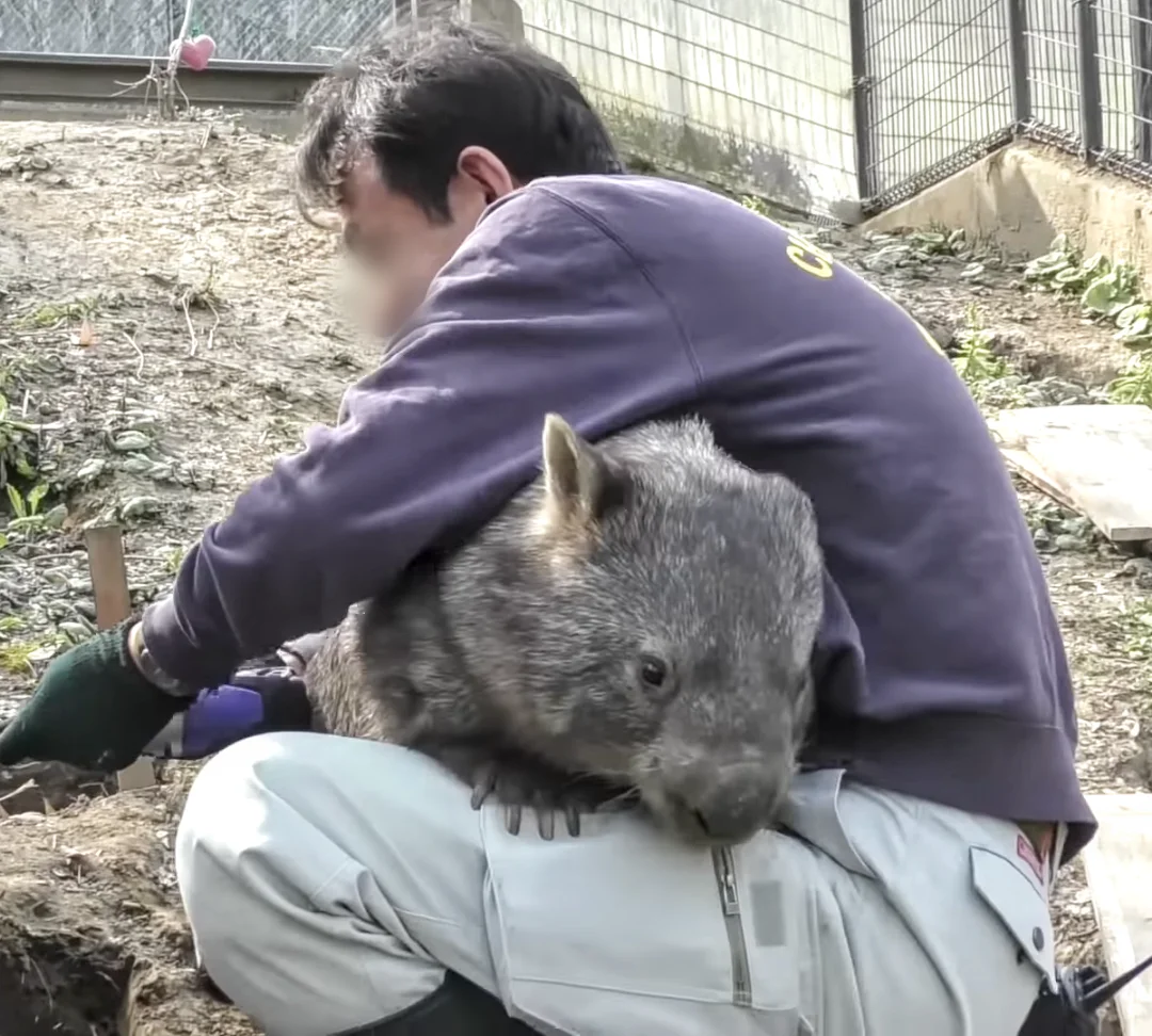 好きな珍しい動物