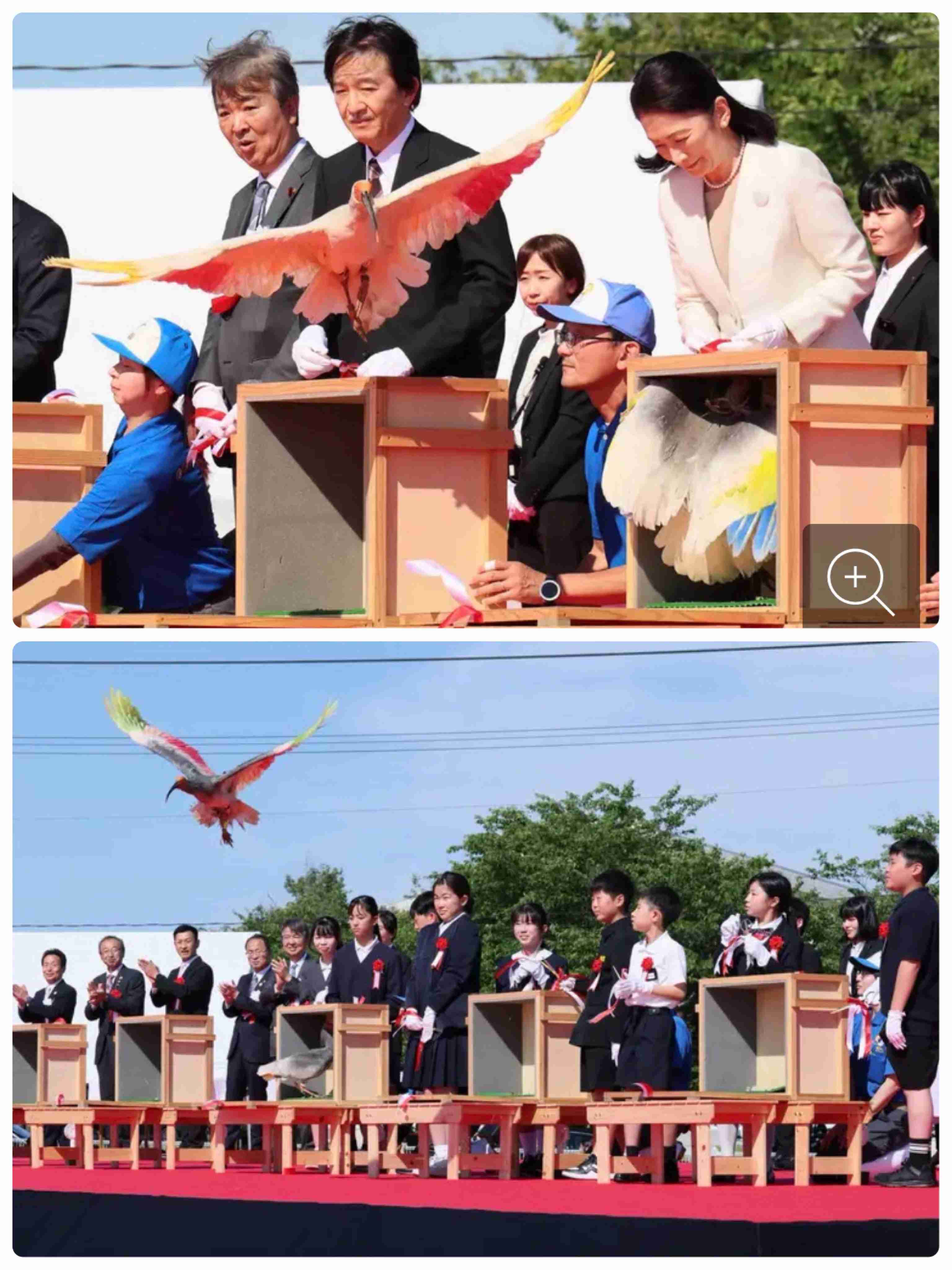 https://up.gc-img.net/post_img/2026/06/153yQfkFS2iOqgx_jZk1f_7317.jpeg