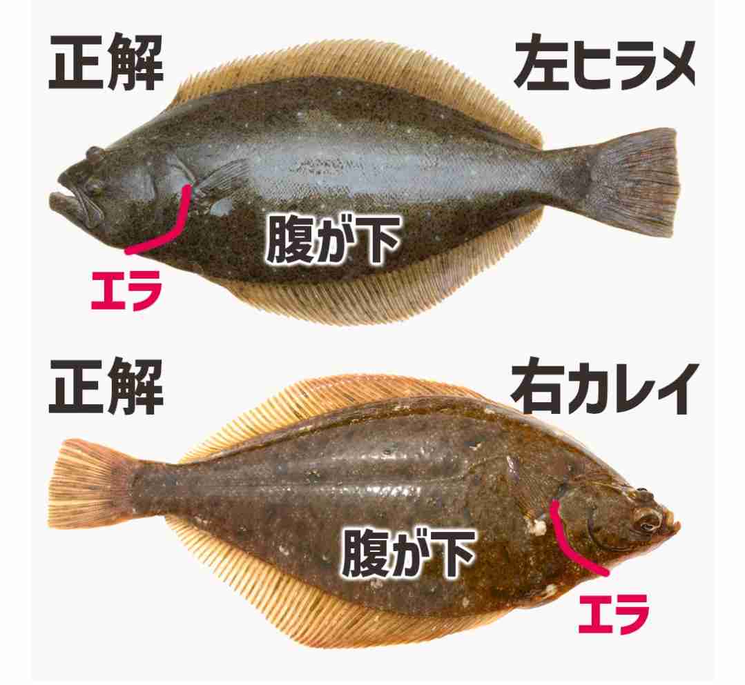 頭の中でどっちがどっちだが分からなくなること