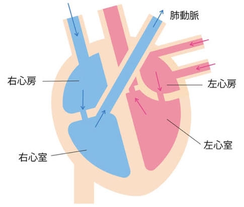 頭の中でどっちがどっちだが分からなくなること