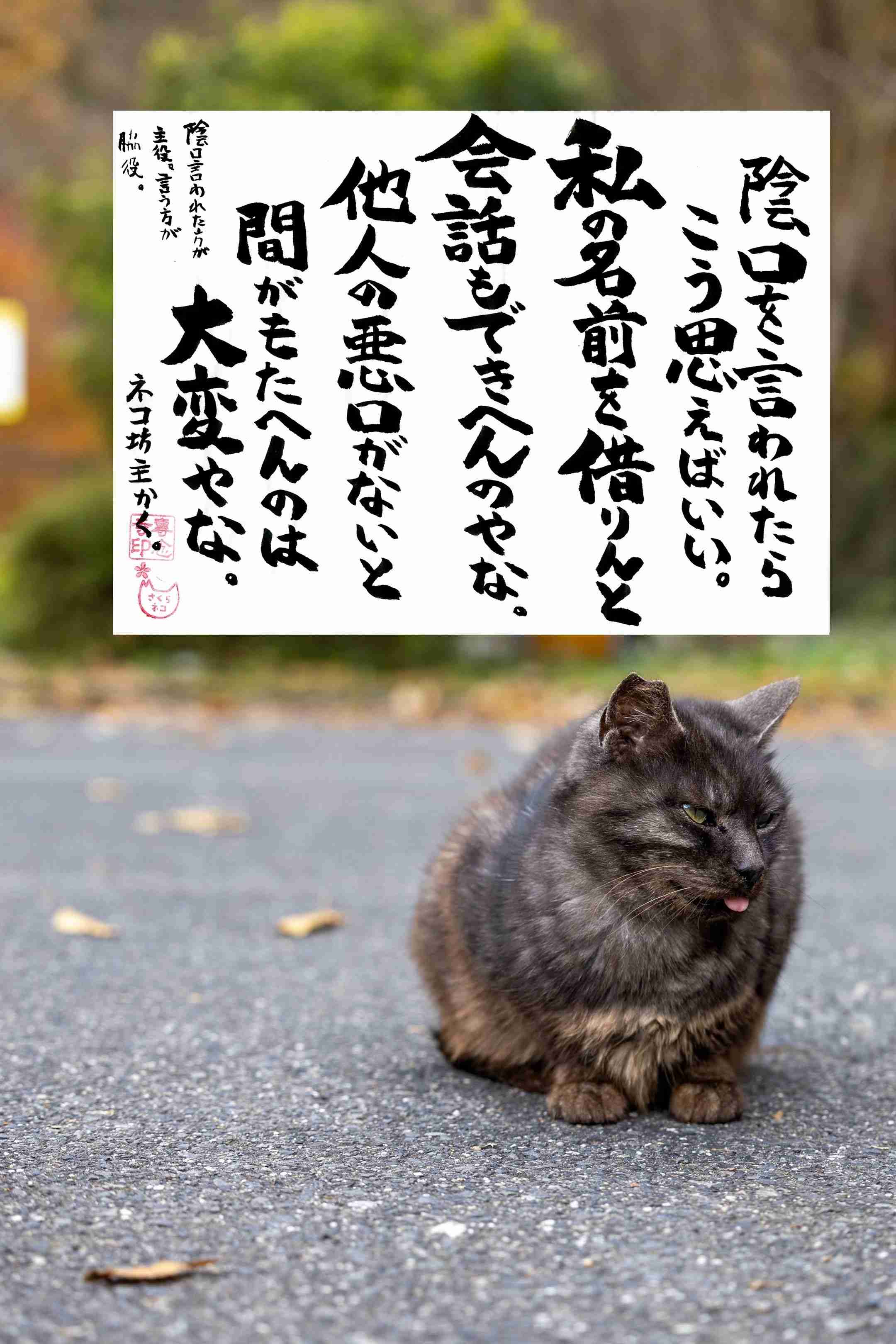 【子供?】知りたい!スマホのホーム画面【ネコ?】