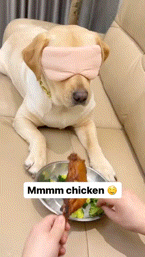 騙されすい人の特徴