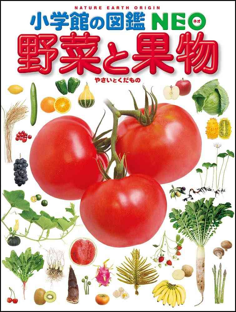 子供と図鑑について語るトピ