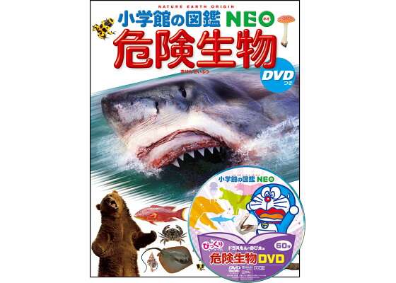 子供と図鑑について語るトピ