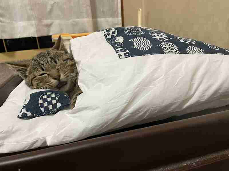 【育児】寝かしつけを頑張る人のトピ【お疲れ様です】