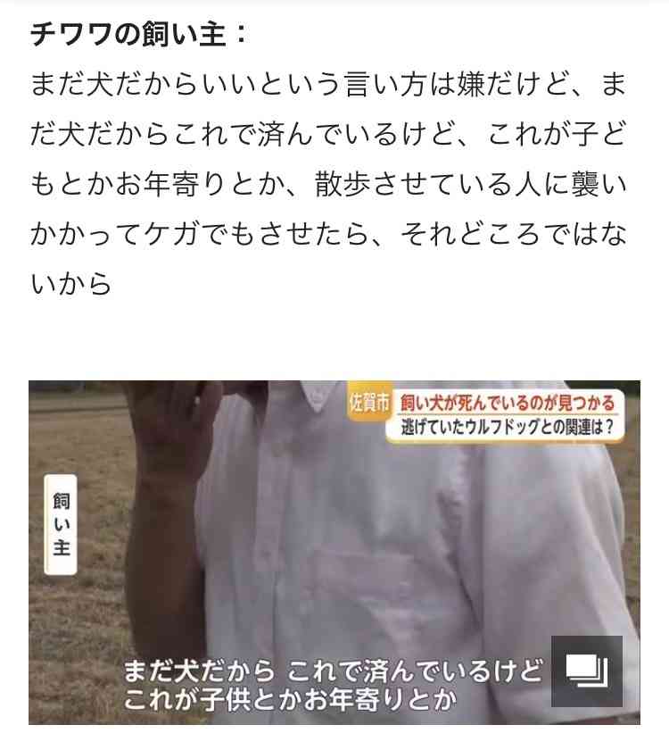 飼われていた「ウルフドッグ」3度目の逃亡 周辺で飼い犬のチワワが死亡 因果関係は不明だが住民からは不安の声も