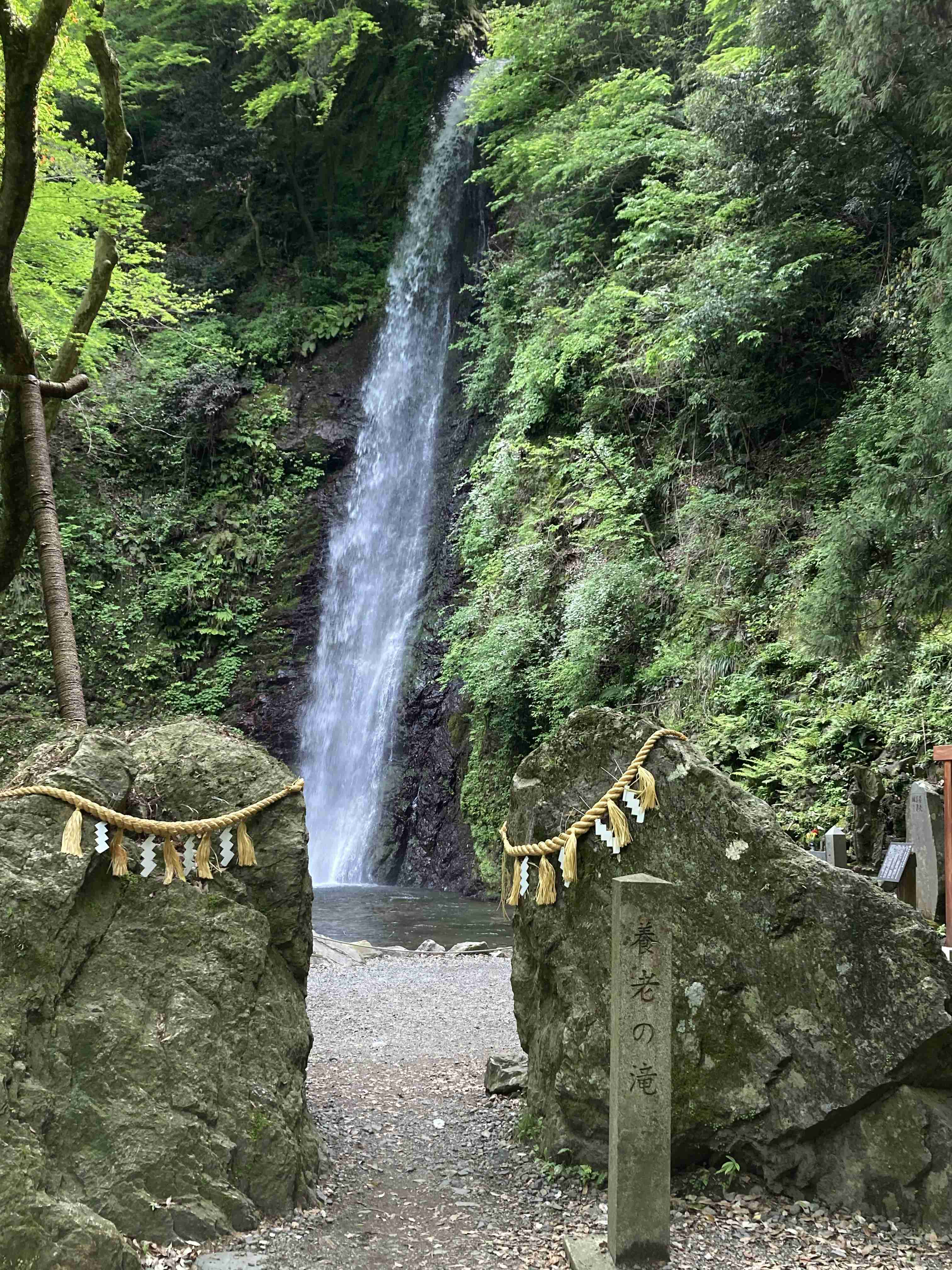 ガル民のソロ活写真が見たい