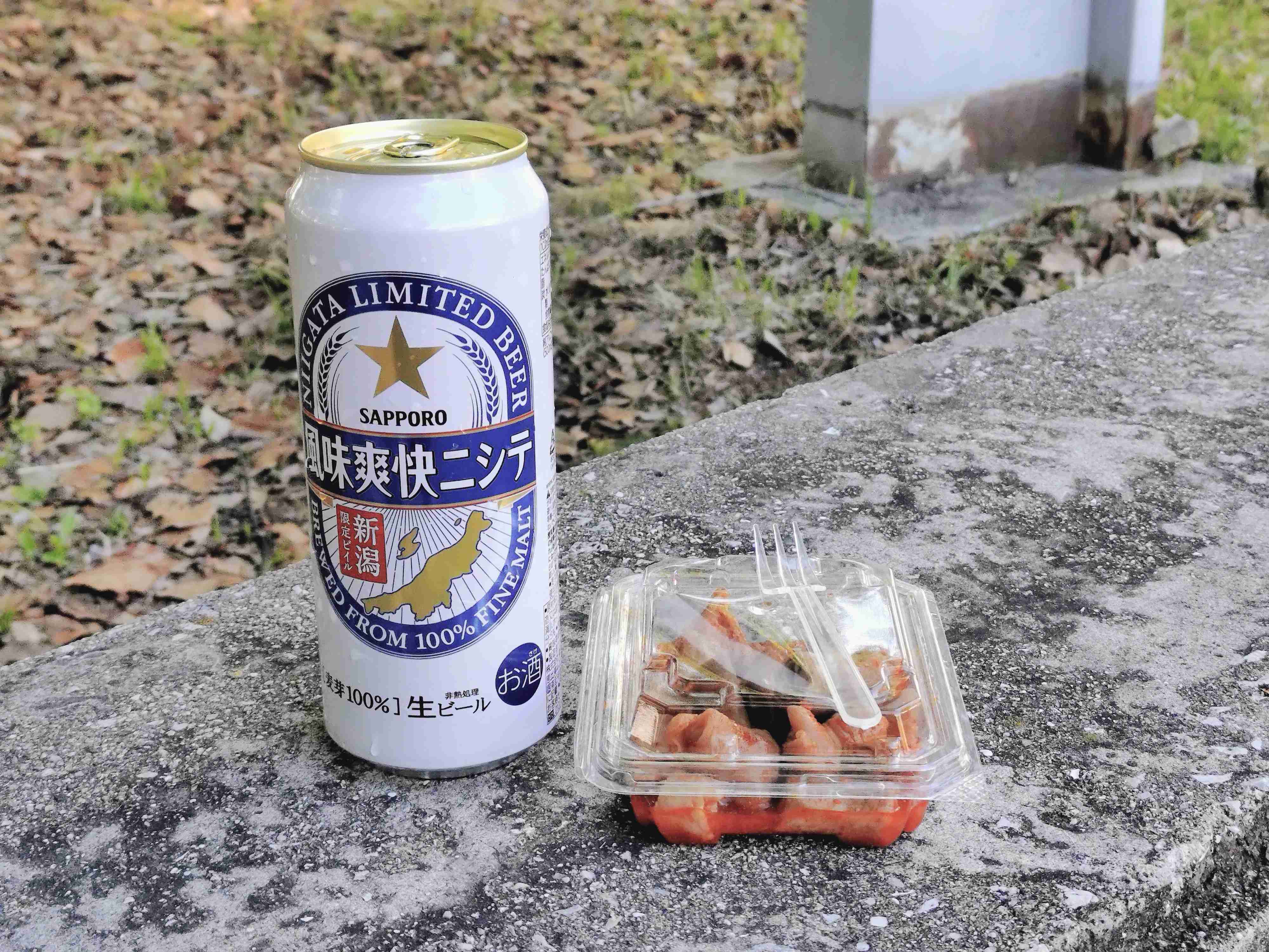 ガル民のソロ活写真が見たい