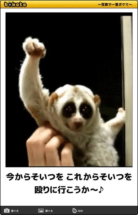 曲名を画像で表してください