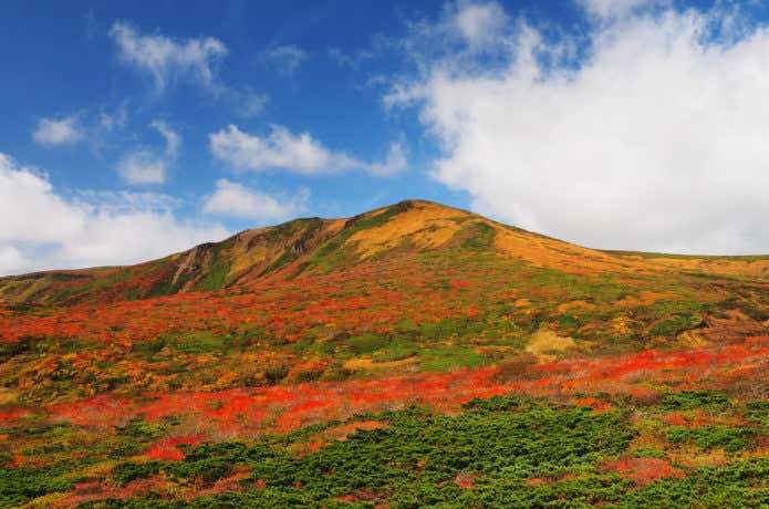 好きな「山」は何ですか?