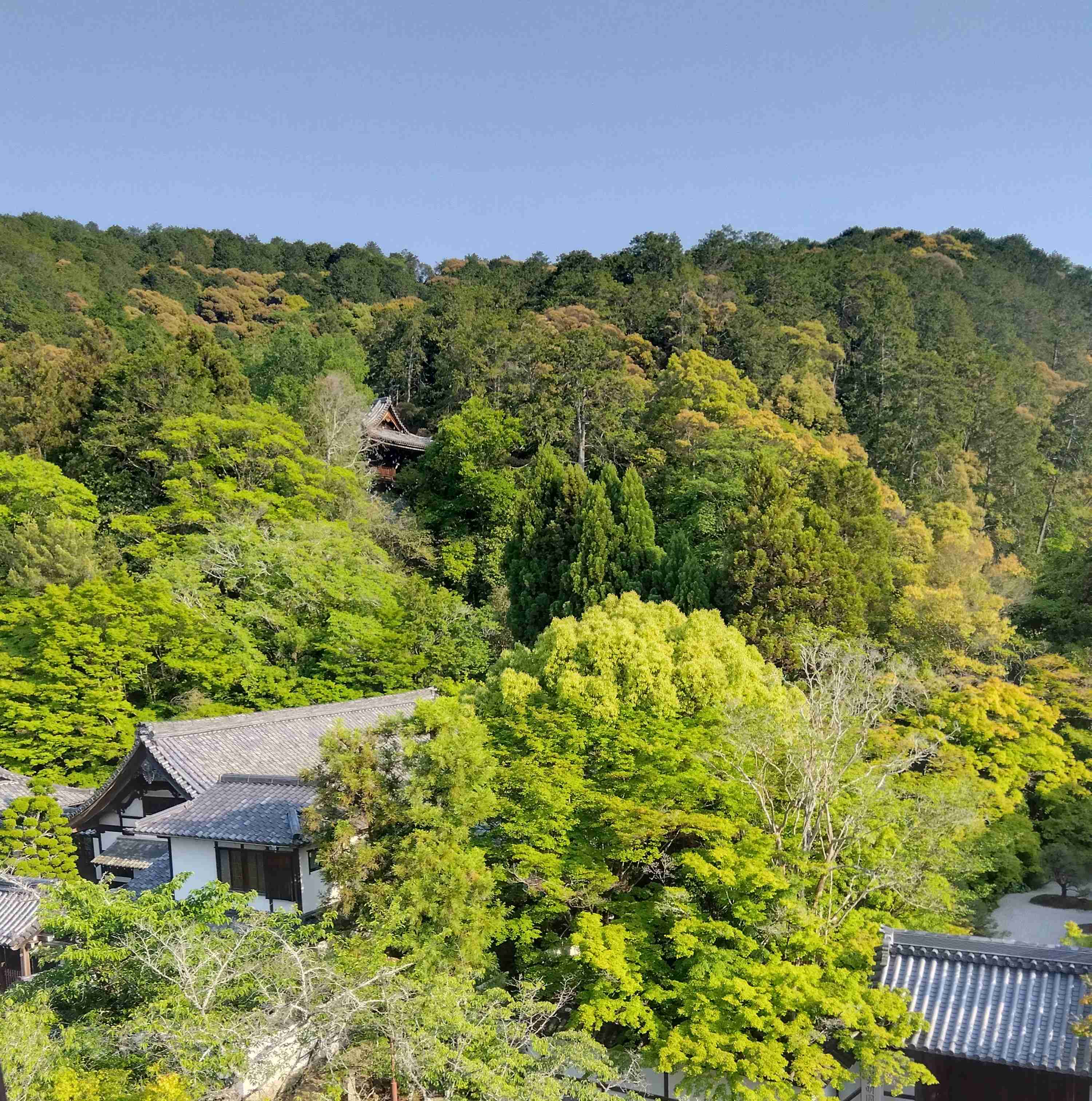 好きな「山」は何ですか?