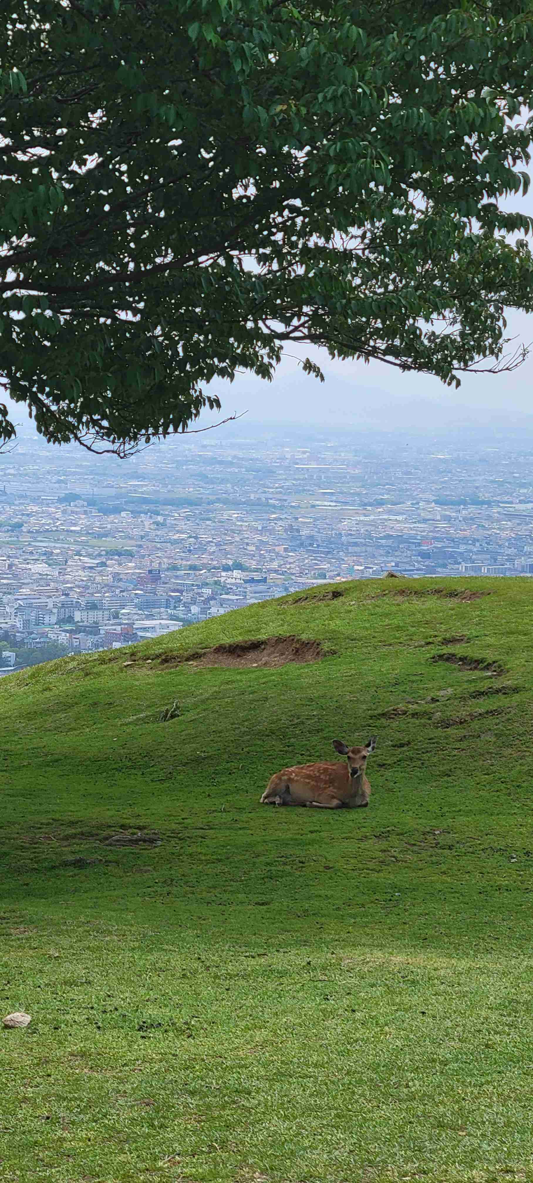 好きな「山」は何ですか?
