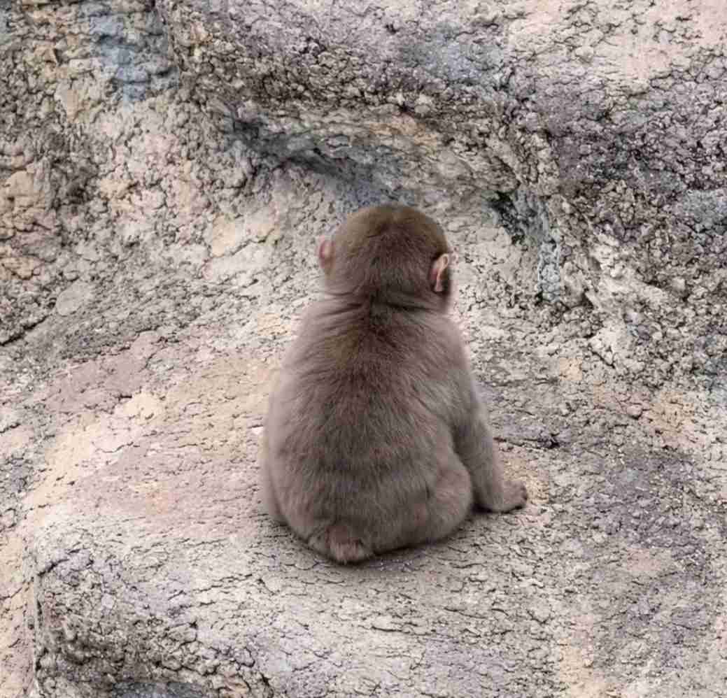ゼロだと嬉しいこと