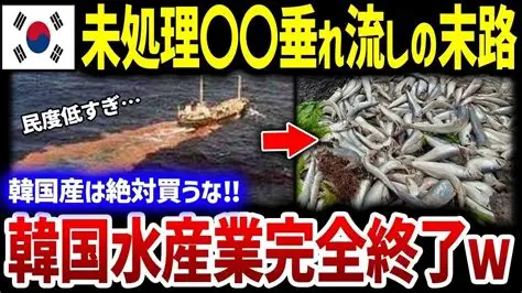 日本産水産物規制撤廃へ協議打診 政府、韓国と実務レベルで