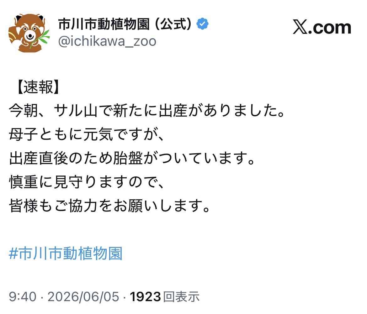 パンチくん