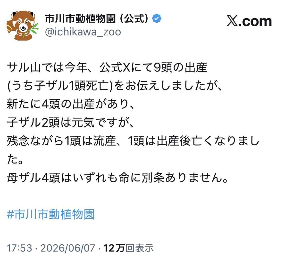 パンチくん