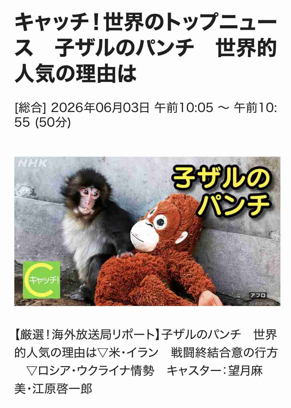パンチくん