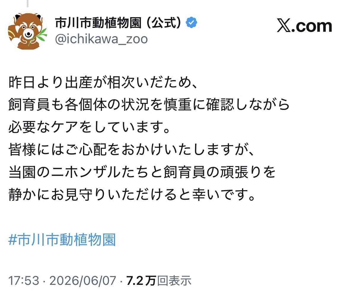 パンチくん