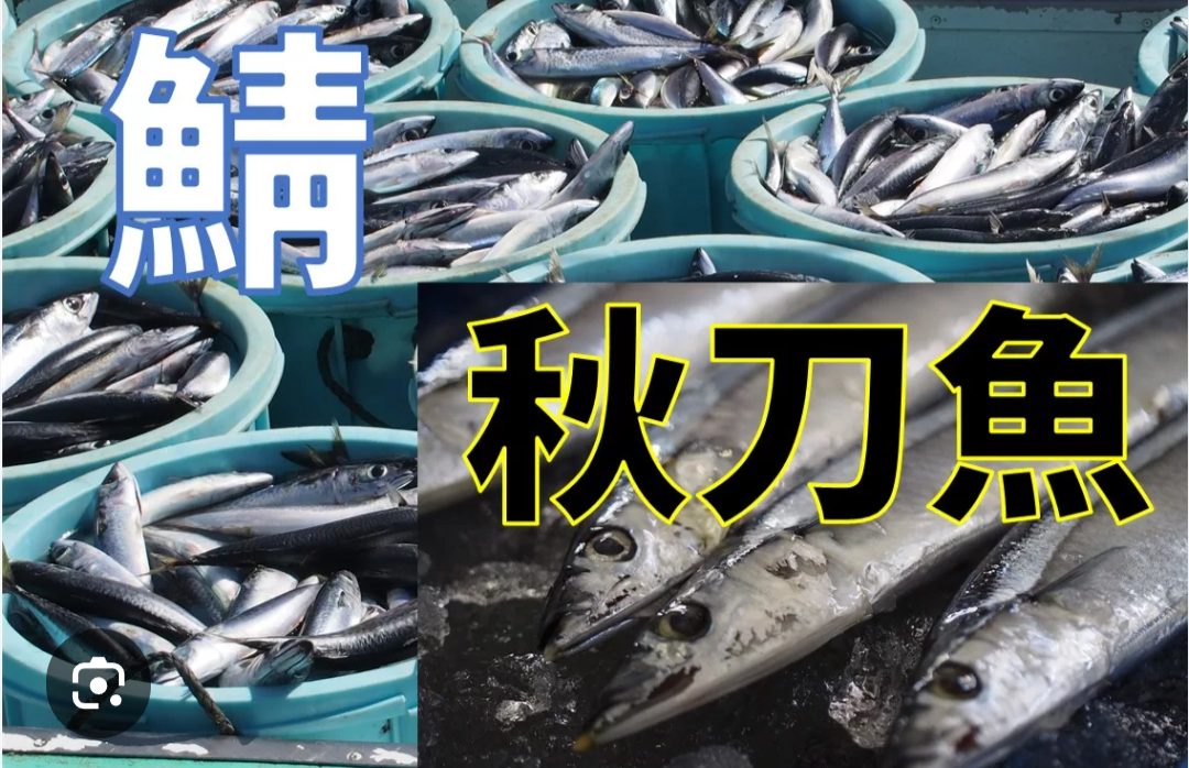 【スギちゃん雑談】梅雨入りしたぜぇ、梅雨明けもするだろぉ【Part120】