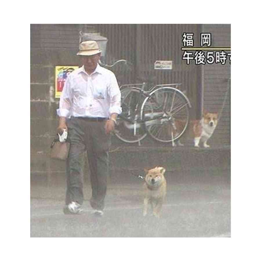 【スギちゃん雑談】梅雨入りしたぜぇ、梅雨明けもするだろぉ【Part120】