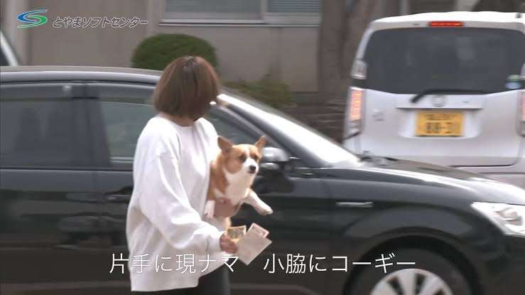 【スギちゃん雑談】梅雨入りしたぜぇ、梅雨明けもするだろぉ【Part120】