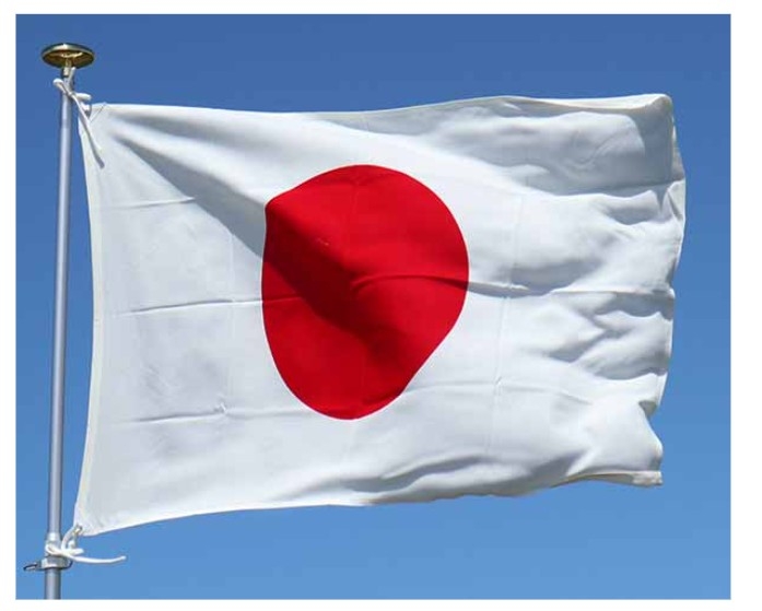国旗損壊罪に反対な人【賛成の方はご遠慮下さい】