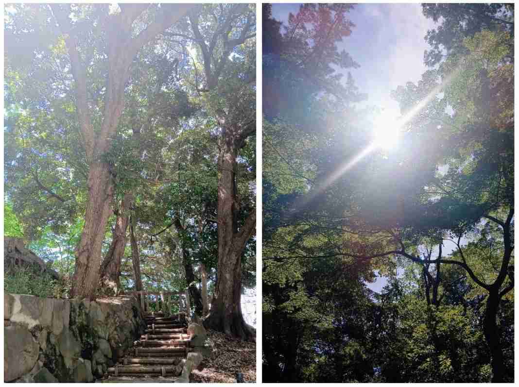 東京にある色んな公園を巡ってみたい