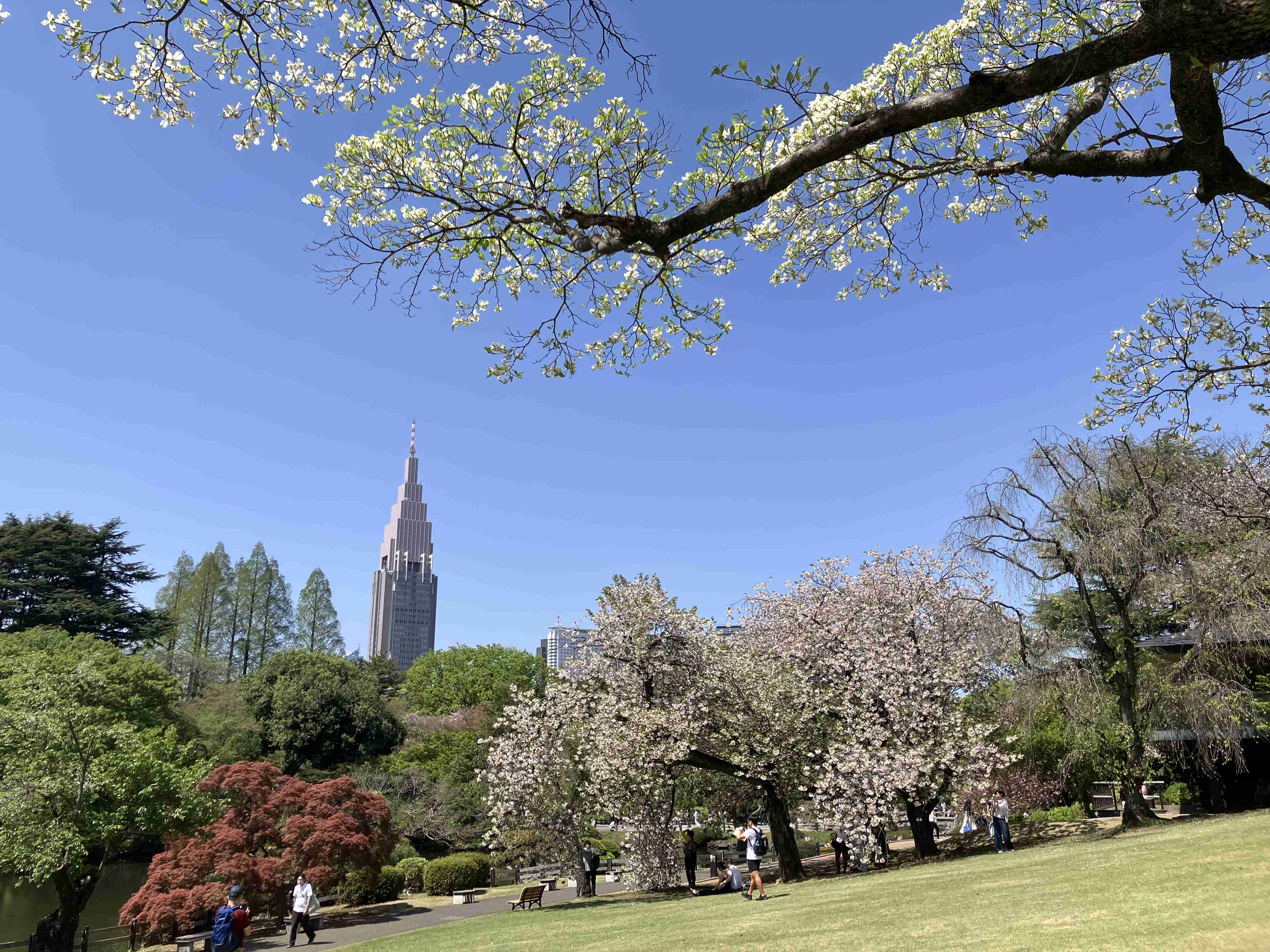 東京にある色んな公園を巡ってみたい