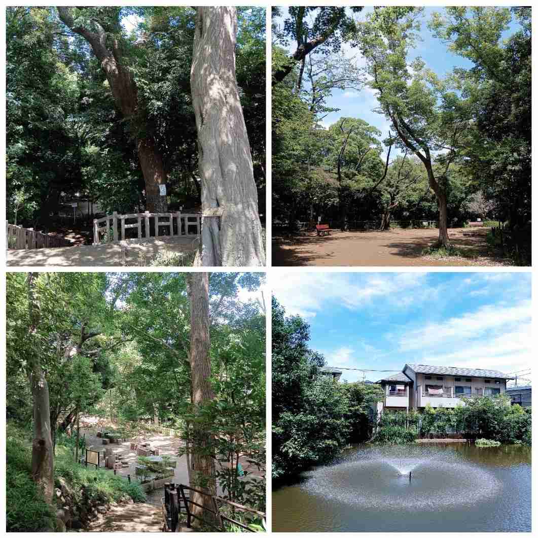 東京にある色んな公園を巡ってみたい