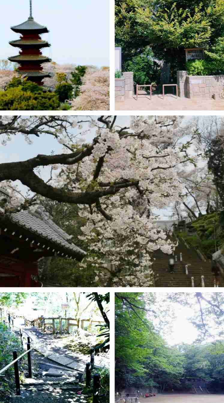 東京にある色んな公園を巡ってみたい