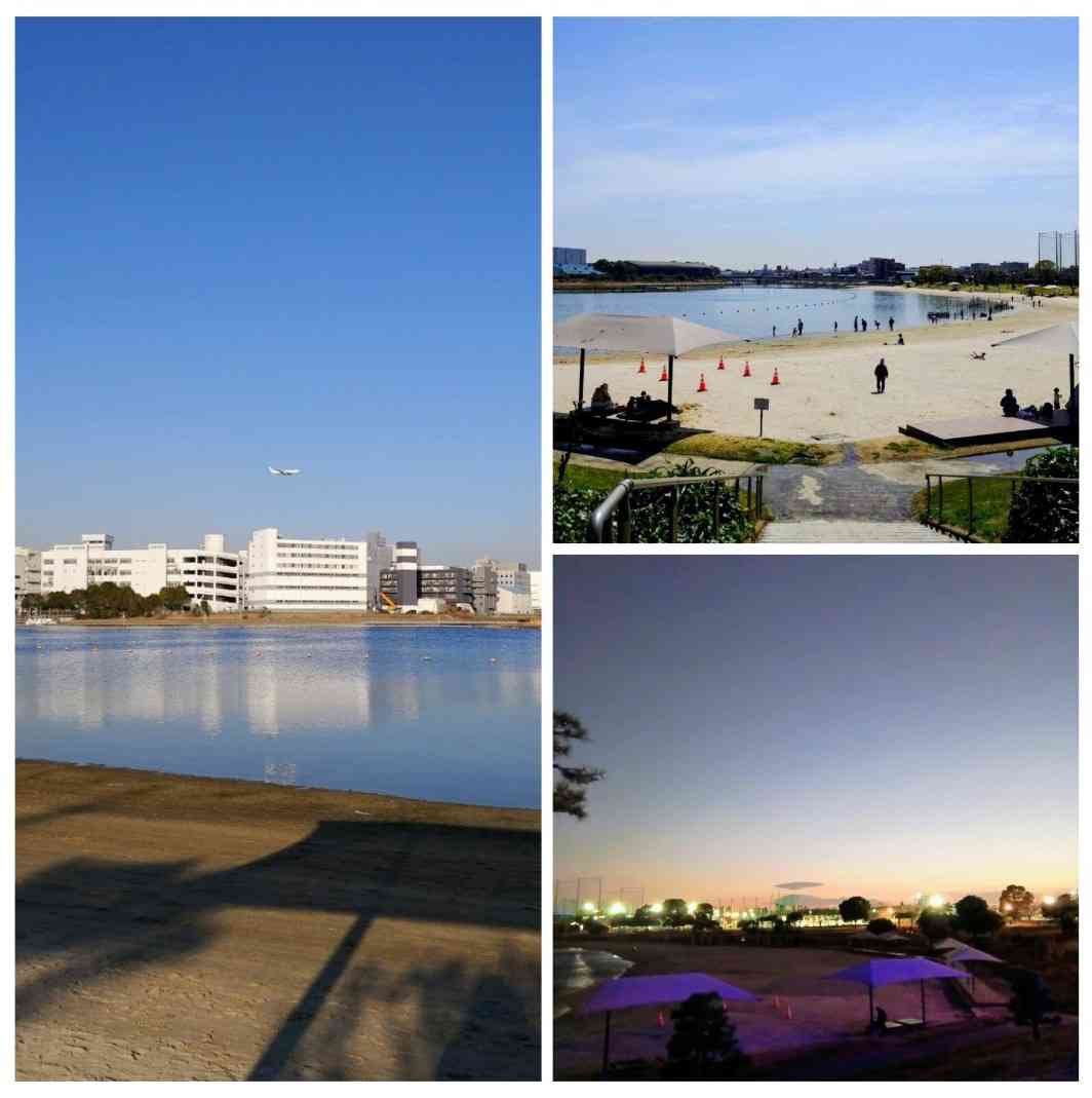 東京にある色んな公園を巡ってみたい