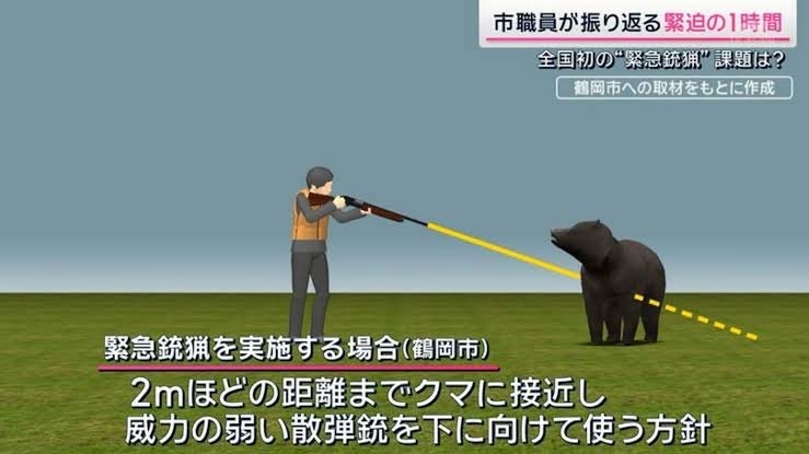 福島で4人襲った熊を取り逃がす　とどまっていた建物の窓から逃げて行方分からず