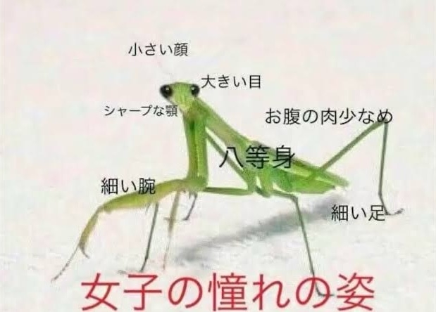 「社会のせいにするなww」マンジャロ使用や痩せ願望への警鐘に視聴者がコメント→漫画家・瀧波ユカリ氏が笑顔で一蹴「素晴らしいテンプレ」「自己責任論に落とし込むのは抑圧」