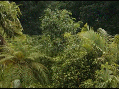 白い動物を貼るトピ