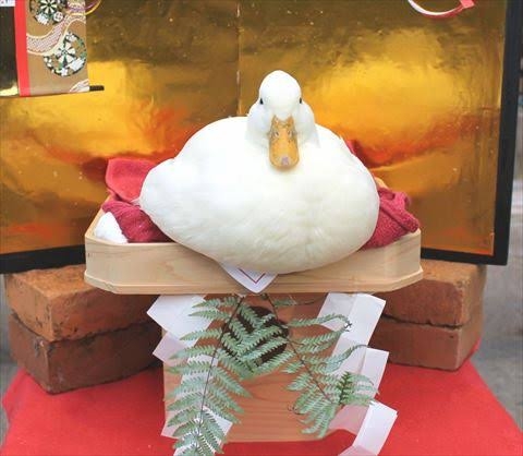 白い動物を貼るトピ