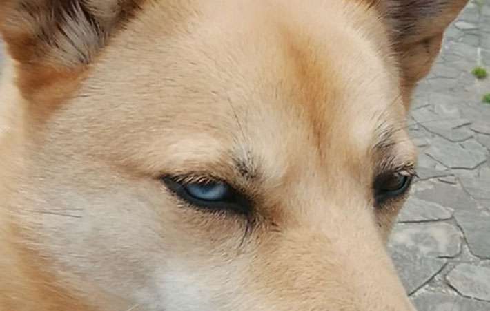 本性を見抜けますか？