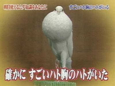 「トリビアの泉」で覚えていること