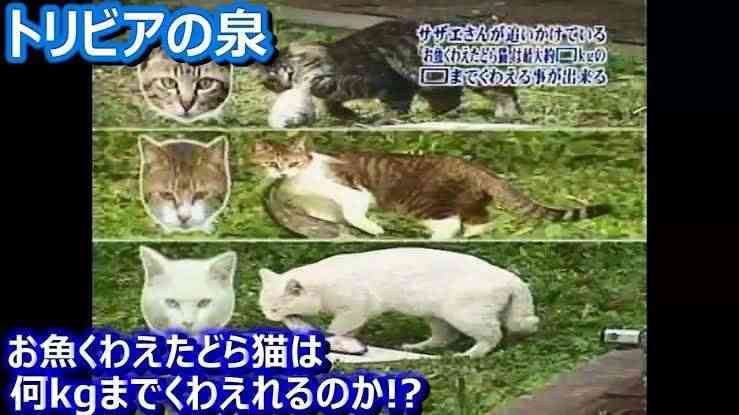 「トリビアの泉」で覚えていること