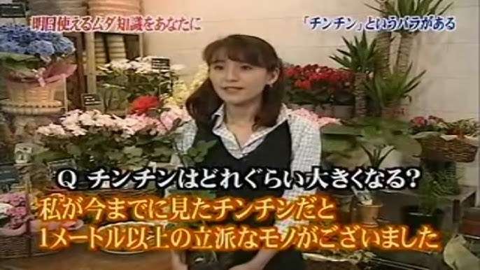 「トリビアの泉」で覚えていること