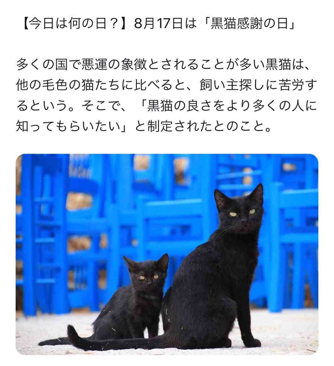 黒猫が好きな人、集合!!(飼ってる人も)Part.2