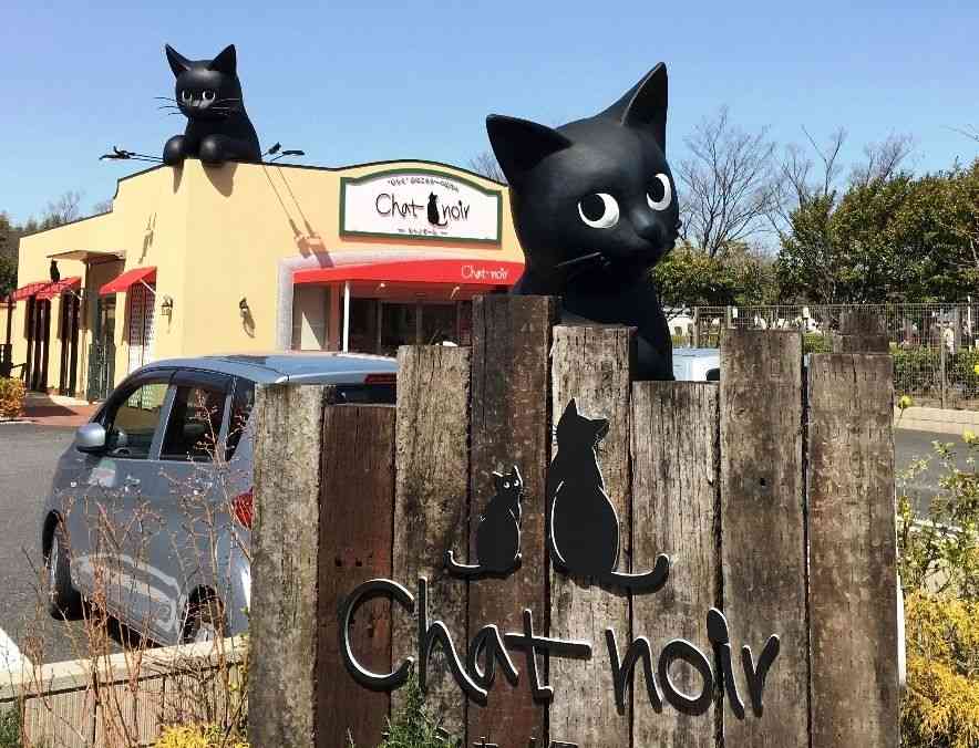黒猫が好きな人、集合!!(飼ってる人も)Part.2