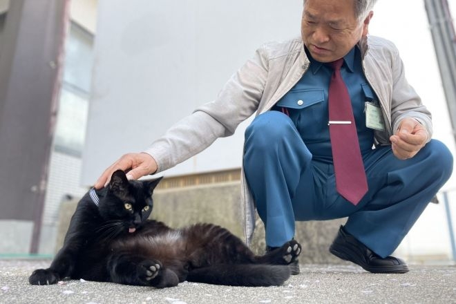 黒猫が好きな人、集合!!(飼ってる人も)Part.2