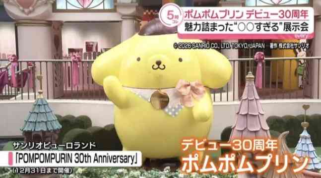「2026年サンリオキャラクター大賞」結果発表 ポムポムプリン30周年アニバーサリーイヤーに1位 2年連続・通算5度目【一覧】