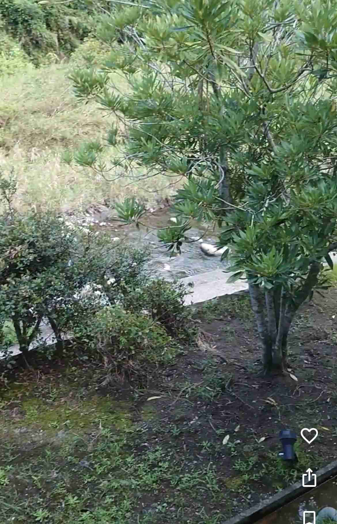 5歳の男の子が行方不明 温泉施設で家族と入浴中 裸のまま行方不明に 鹿児島・霧島市