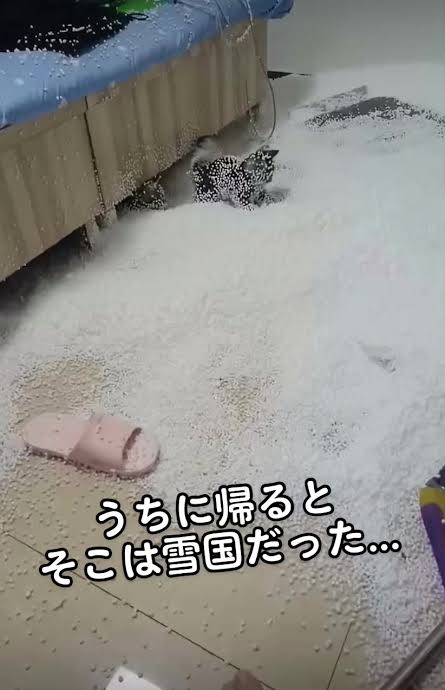 【注意喚起】意外な原因【ジャンル不問】